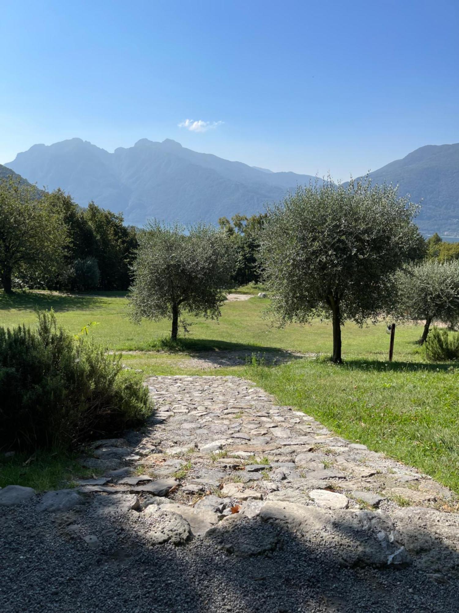 מנדלו דל לאריו Agriturismo La Selvaggia מראה חיצוני תמונה